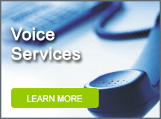 Voice Services